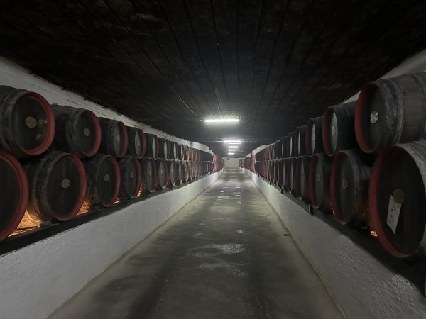 Снимки: Нели Христова